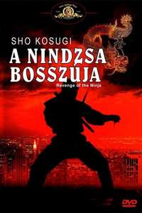 Revenge of the Ninja - Poster