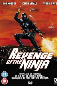 Revenge of the Ninja - Poster