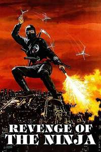 Revenge of the Ninja - Poster