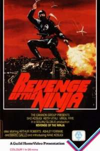 Revenge of the Ninja - Poster