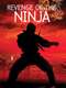 Revenge of the Ninja