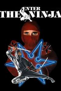 Enter the Ninja - Poster