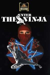 Enter the Ninja - Poster