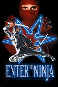 Enter the Ninja - Poster
