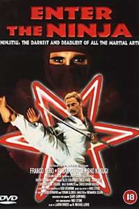 Enter the Ninja - Poster