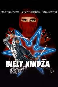 Enter the Ninja - Poster