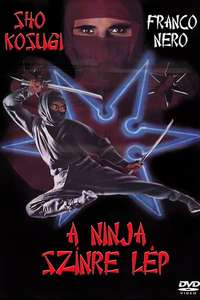 Enter the Ninja - Poster