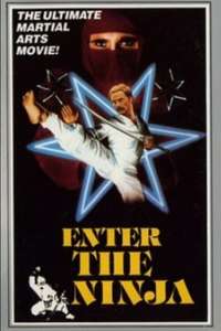 Enter the Ninja - Poster
