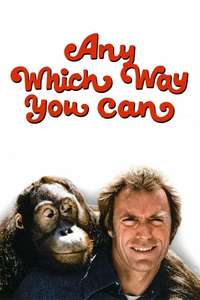 Any Which Way You Can - Poster