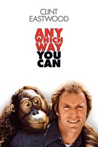 Any Which Way You Can - Poster