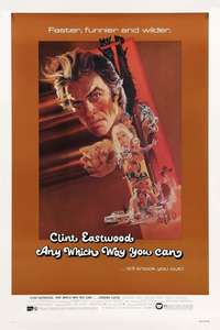Any Which Way You Can - Poster