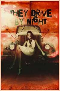 They Drive by Night - Poster