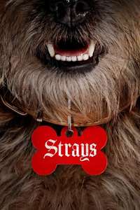 Strays - Posters