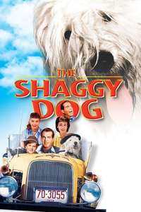 The Shaggy Dog - Posters
