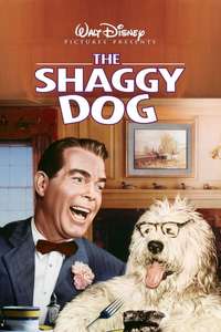The Shaggy Dog - Posters