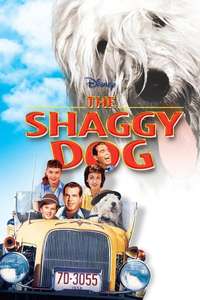 The Shaggy Dog - Posters
