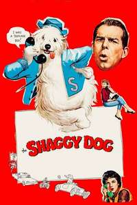 The Shaggy Dog - Posters