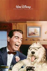 The Shaggy Dog - Posters