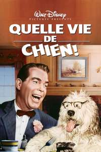 The Shaggy Dog - Posters