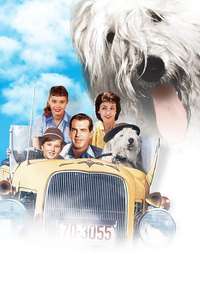 The Shaggy Dog - Posters