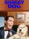 The Shaggy Dog