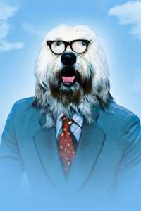 The Shaggy D.A. - Poster