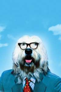 The Shaggy D.A. - Poster