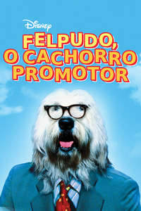 The Shaggy D.A. - Poster
