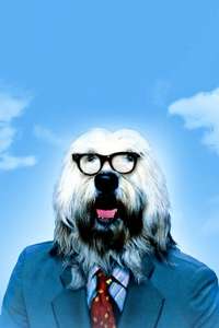 The Shaggy D.A. - Poster