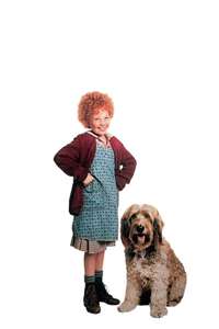 Annie - Poster