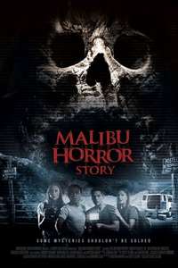 The Malibu Tapes - Poster