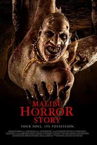 The Malibu Tapes - Poster