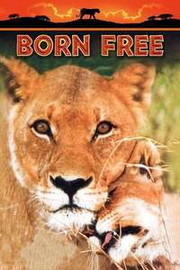 Born Free - Poster