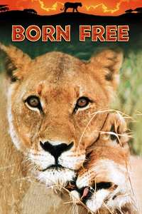 Born Free - Poster