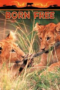 Born Free - Poster
