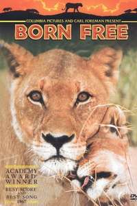 Born Free - Poster