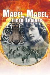 Mabel  Mabel Tiger Trainer