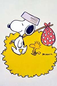 Snoopy  Come Home - Poster