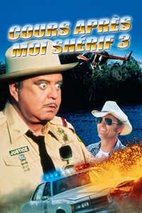 Smokey and the Bandit Part 3 - Poster