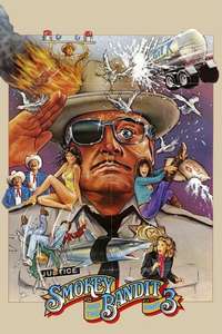 Smokey and the Bandit Part 3 - Poster