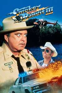 Smokey and the Bandit Part 3 - Poster