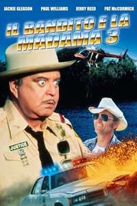 Smokey and the Bandit Part 3 - Poster