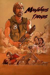 Lone Wolf McQuade - Poster