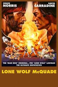 Lone Wolf McQuade - Poster