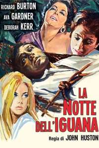 The Night of the Iguana - Poster