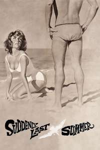 Suddenly  Last Summer - Poster