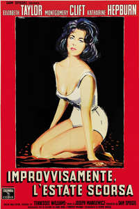 Suddenly  Last Summer - Poster