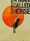 A Man Called Horse