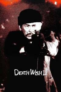 Death Wish II - Poster