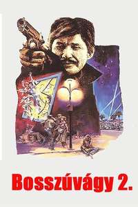 Death Wish II - Poster